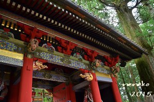 2015 菖蒲ヶ浜キャンプ場