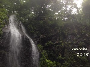 2015 菖蒲ヶ浜キャンプ場