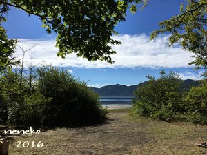 2016 菖蒲ヶ浜キャンプ場　～後編～