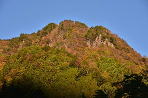 秩父の紅葉