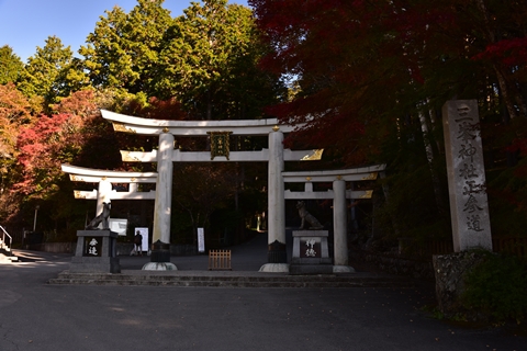 秩父の紅葉