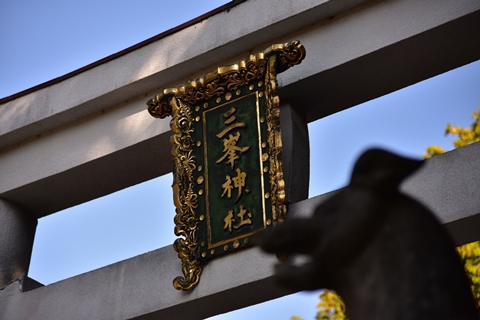 秩父の紅葉