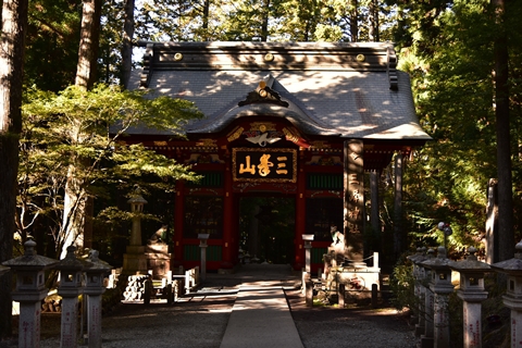 秩父の紅葉
