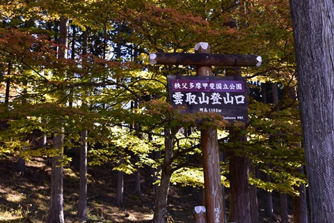 秩父の紅葉