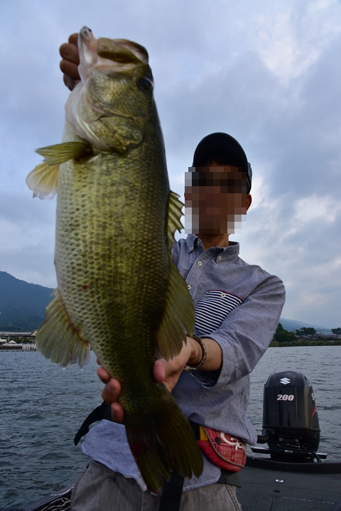 釣らなきゃ！（焦り）