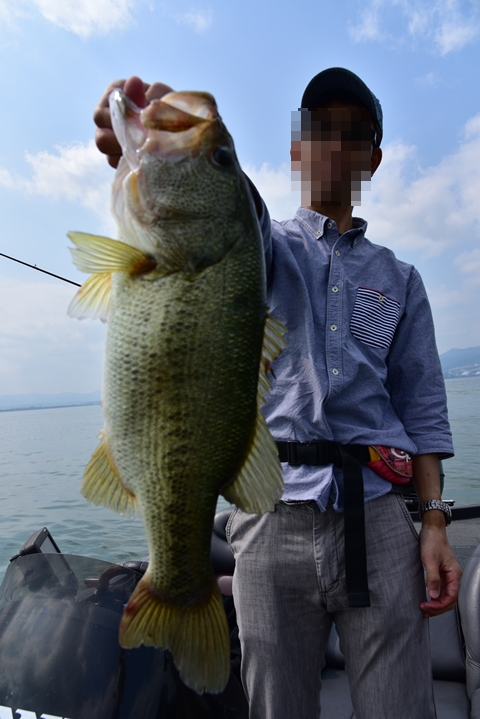 釣らなきゃ！（焦り）