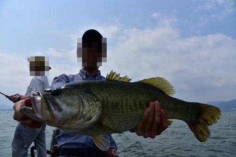 釣らなきゃ！（焦り）