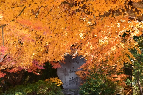 城山湖の紅葉も良い感じ