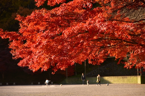 城山湖の紅葉も良い感じ