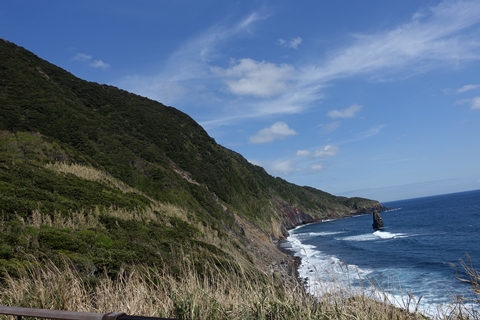 0泊2日で大島へ