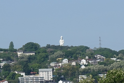 ハルヒル試走