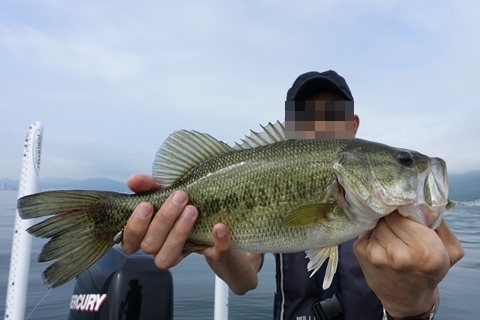 2艇で勝負 -ルールは事前に決めておこう-