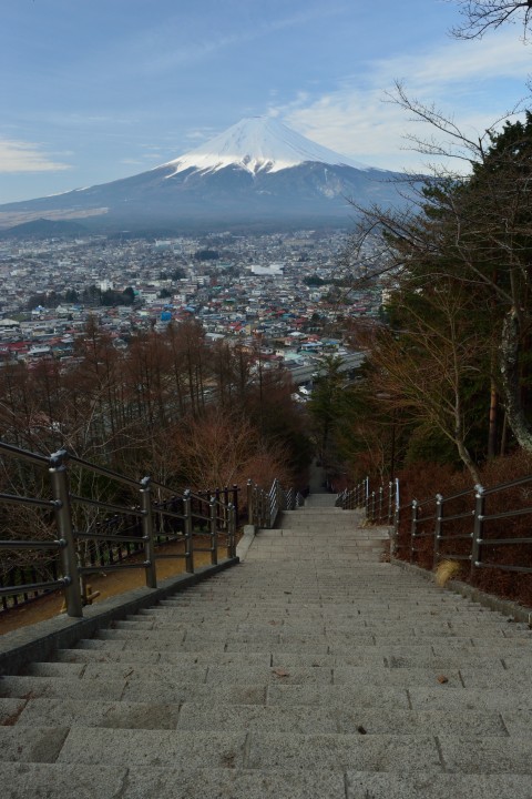 お花見スポット