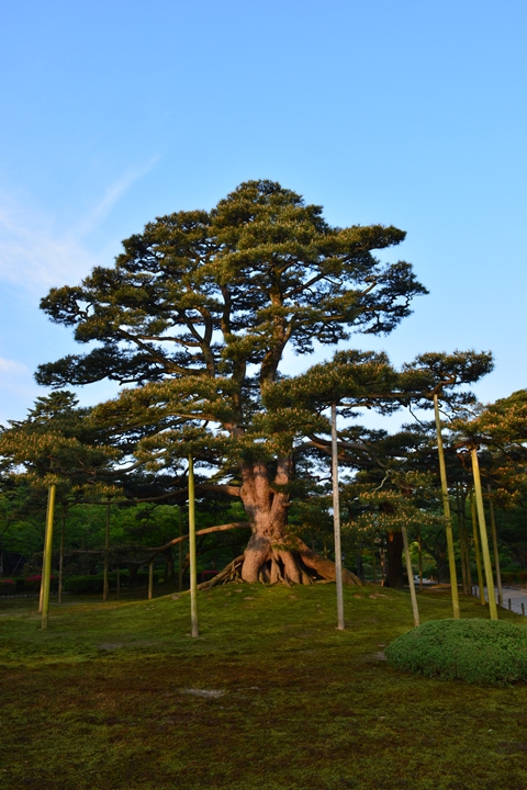 能登半島一周・・・（北陸旅行2日目）
