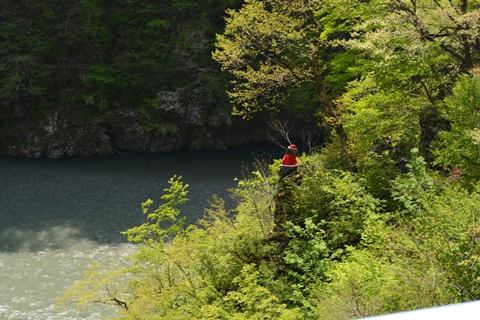 峡谷は涼しい・・・（北陸旅行3日目）