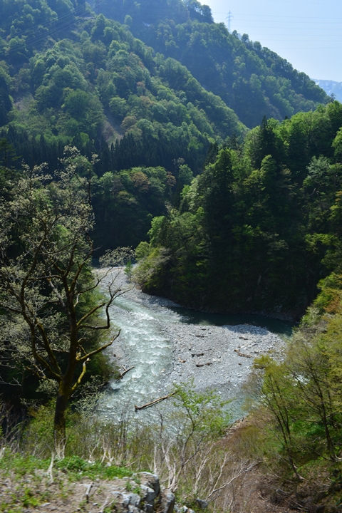 峡谷は涼しい・・・（北陸旅行3日目）