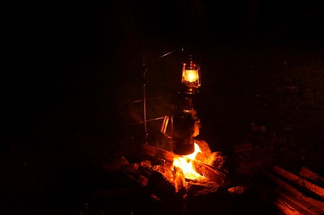 雑木林で焚火ソロキャンプ