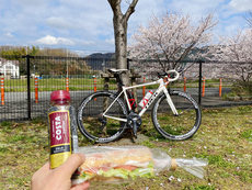 姫路のさくら♪サクラ♬桜♩SAKURA♫ 2022年　「春」