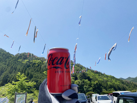 沢山の鯉のぼり グリーンエコー笠形へサイクリング