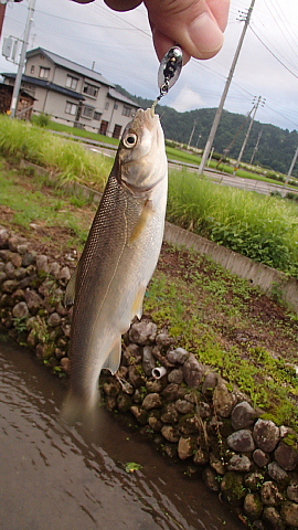 ウグイング釣り場の開拓♪