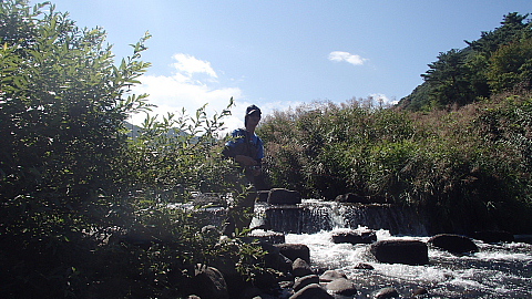 大門川と神川で釣り