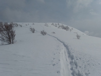 取立山と北陸新幹線