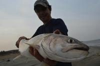 アメマス82cm！ 2014/05/04 09:57:34