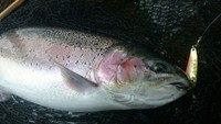道東の湖 2015/01/04 18:21:54