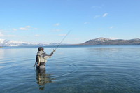 冬の湖・アメマス釣り 2014/12/23 15:43:42