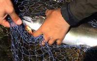 本州での釣果 2015/10/02 12:12:03