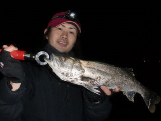 2010の釣果