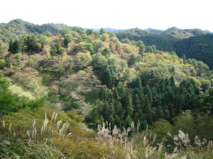 10月の三連休！　花立自然公園　ログキャビンで合同キャンプ？