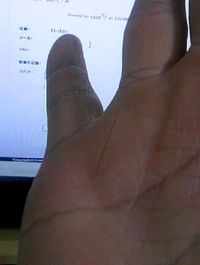 髪の毛が 2009/02/25 08:19:43