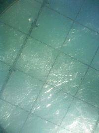 Let's 2009/04/30 17:06:50