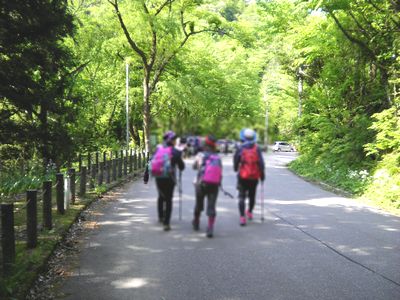 富士写ヶ岳　再び