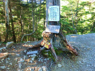 夏休み　南アルプス紀行その７