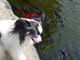 お盆キャンプ2013～国宝編