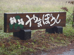 ハロウィンキャンプｉｎ大野路