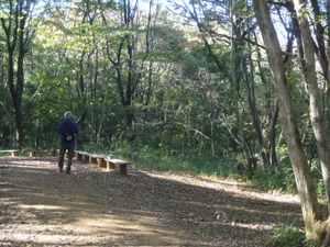 あのときの山に