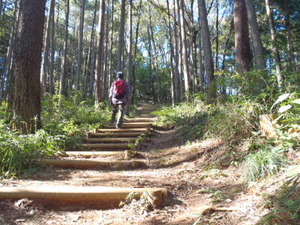 あのときの山に