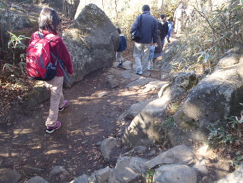 紅葉登山