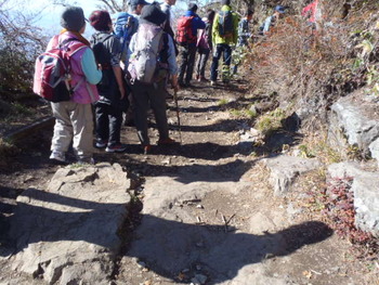 紅葉登山