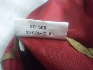 リサ天