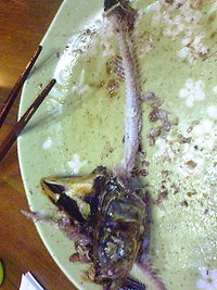 12日目 2011/02/07 21:26:09
