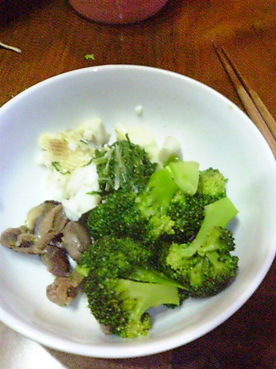 19日目