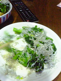 27日目 2011/02/22 20:49:43
