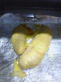 44日目