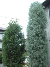 釣りばかりというわけには