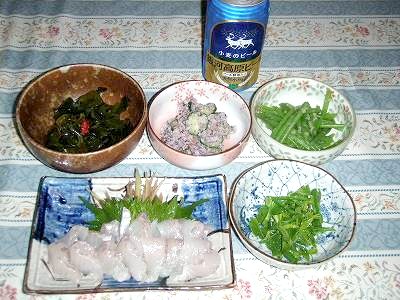 晩酌の肴：サワラやメカブ、山菜：自前の食材＠新潟