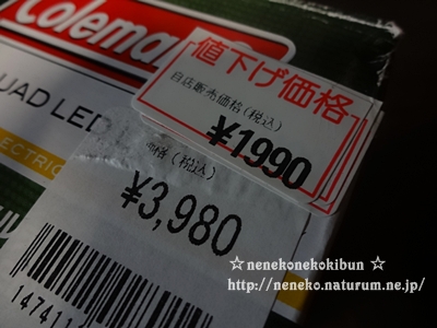 ライトとSALE品